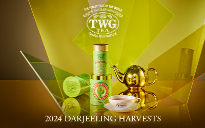  2024 Darjeeling Harvests - TWG Tea Catalogue