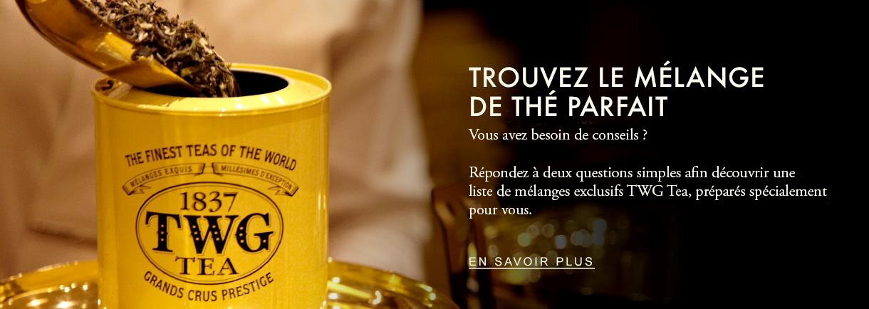 TWG Tea Connoisseur - Find the Perfect Tea Blend For You - Luxury Tea Brand