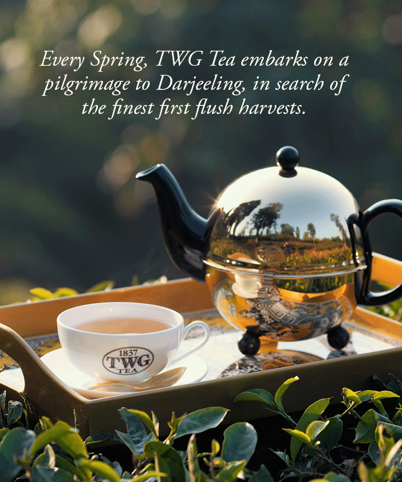 TWG Tea Online Boutique | Shop Luxury Teas & Accessories | TWG 
