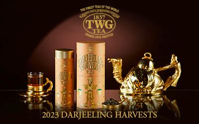  2023 Darjeeling Harvests - TWG Tea Catalogue