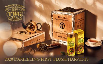  2020 Darjeeling Harvests - TWG Tea Catalogue