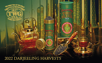  2022 Darjeeling Harvests - TWG Tea Catalogue