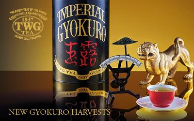 New Gyokuro Harvests - TWG Tea Catalogue