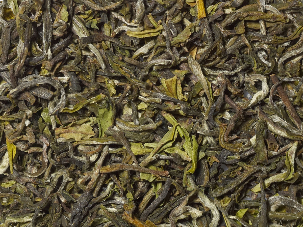 Darjeeling First Flush (2022) - Grand Mode Tea Collection