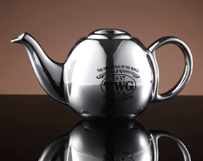 Design Orchid Teapot in Silver (500ml)