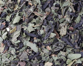 Gnawa Tea